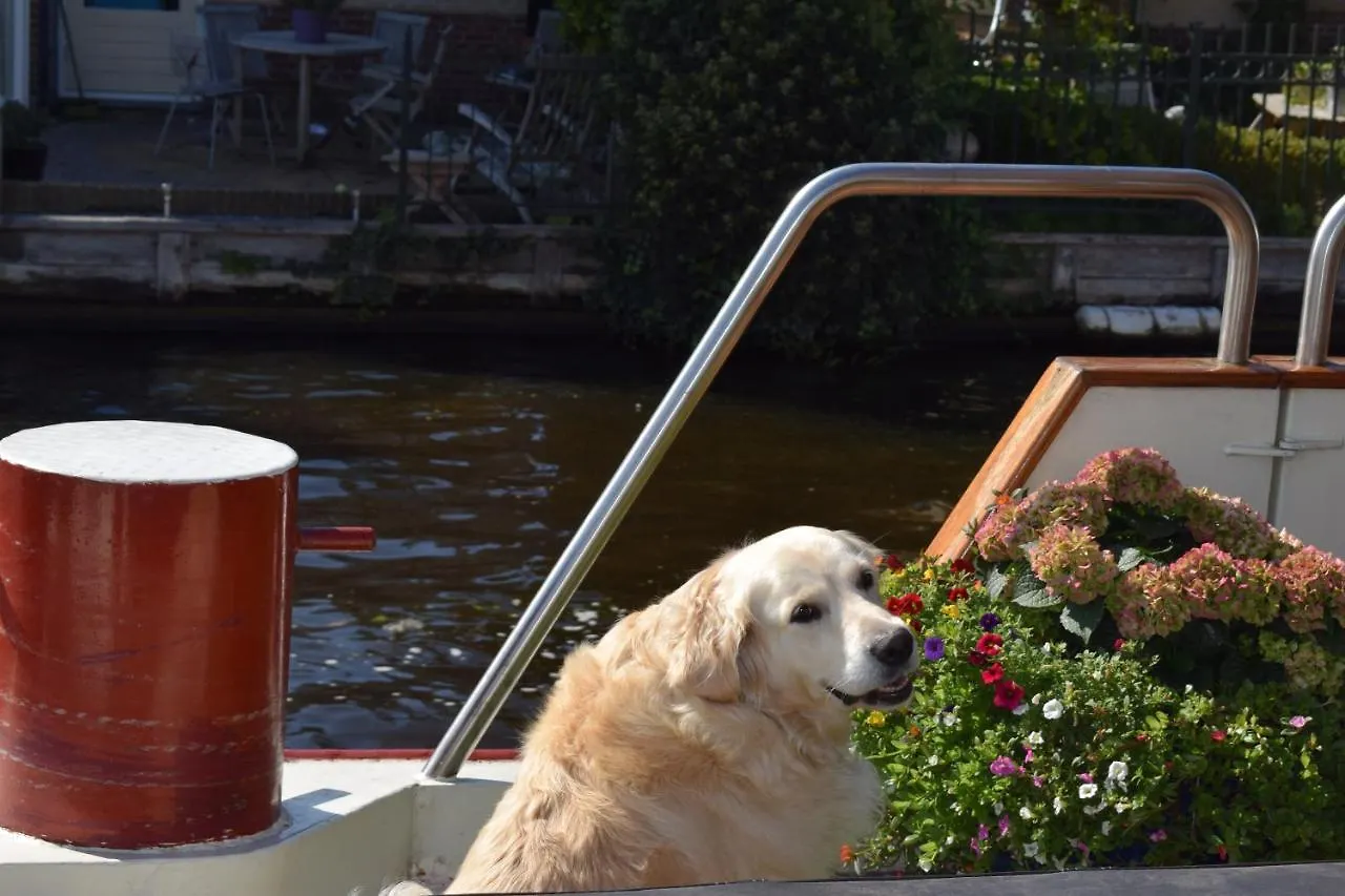 Aurora Bed and Breakfast Schiedam Nederland